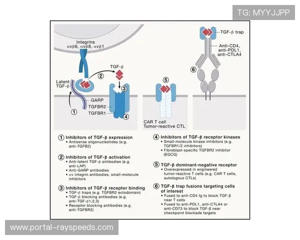 信号管理正由重资产转向订阅服务模式 激活了中小型机构的制播潜力