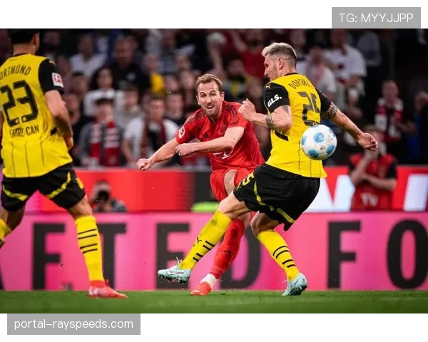 财务观察:欧战成绩如何影响德甲中游球队的夏季预算 财务观察:欧战成绩如何影响德甲中游球队的夏季预算